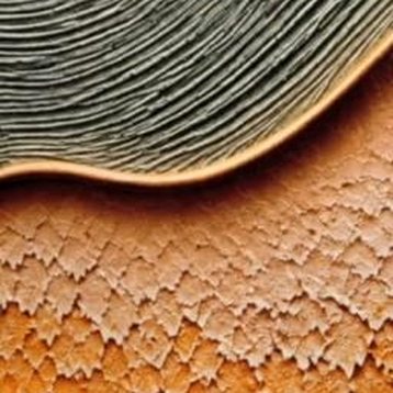 Detalle del relieve: Borde