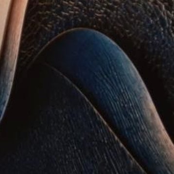 Detalle del relieve: Pliegue